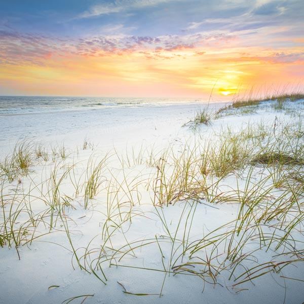 Mexico Beach callout