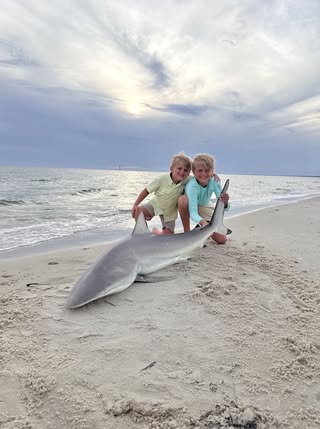 Things To Do Off The Beach Shark Fishing Trips